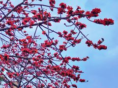 -花都广场
