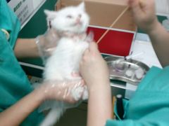 android_upload_pic-康乐宝动物医院