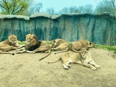 -北京野生动物园