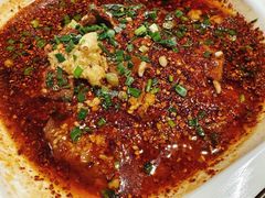 -柴窝堡22号辣子鸡·传承新疆菜