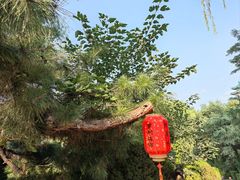-淄博聊斋城景区