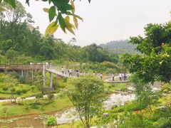 -东莞植物园