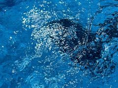 -中山夏威夷游泳馆(小榄店)