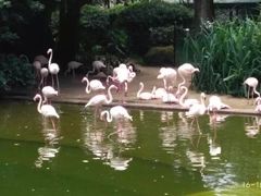 -九龙公园
