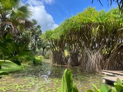 -西双版纳傣族园