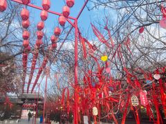 -祥源·阜阳生态乐园