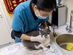 -德元·美联众合24小时动物医院(总院)
