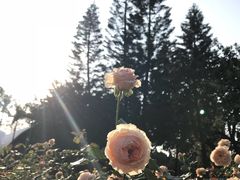 -人民公园(罗湖区)