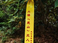 -莫干山风景区