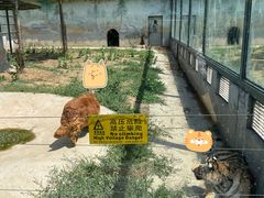 -龙口动植物园