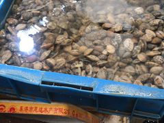 -众彩物流水产市场