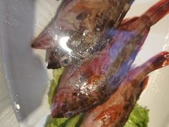 -妈妈菜舟山海鲜(定海古城店)