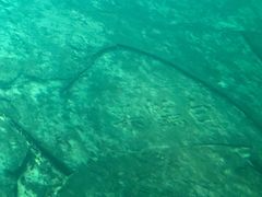 -白鹤梁水下博物馆