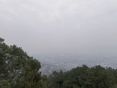 -缙云山景区