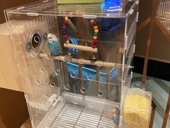 -御海8号温泉酒店