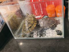 -老五烧烤(石牌岭店)