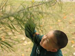 -厦门国家会计学院