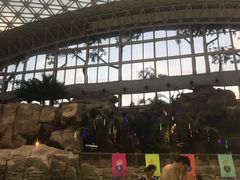 -杭州开元森泊度假乐园