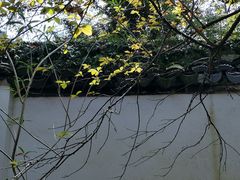 -上海醉白池公园