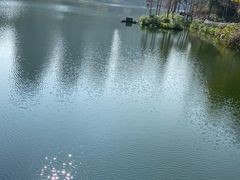 -重庆彩云湖湿地公园