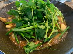 -九道菜有鸡鱼头(石鼓路店)