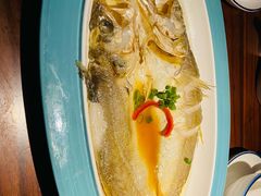 花雕醉黄鱼-寻宝记绍兴菜(鲁迅路店)