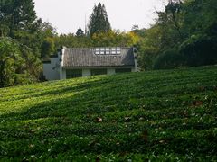 -敬亭山风景名胜区