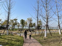 -游心咖啡(青山滨江店)