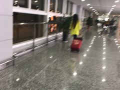 -张家界荷花国际机场