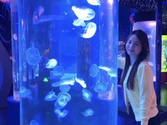 -顺德南宏海立方海洋公园
