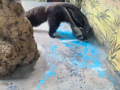 -济南野生动物世界