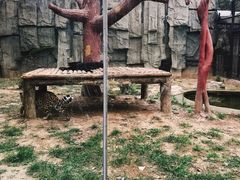 -石家庄市动物园