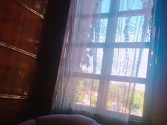 -半岛公馆(淞兴西路店)