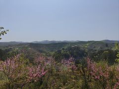 -老味道1992(武当山店)