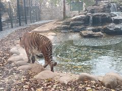 -北京野生动物园