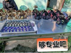 -东湖小天池真人CS彩弹野战基地