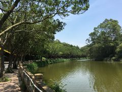 -李小龙乐园(顺德均安店)