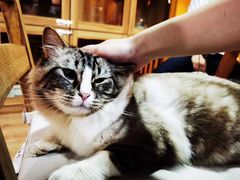 -白兔子密室(长寿路店)