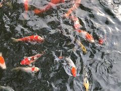 -杭州西湖柳莺里酒店