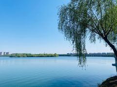 -丁香湖公园