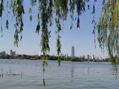 -济南大明湖景区
