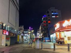 -宝健路步行街(Pedestrian Shopping Street)