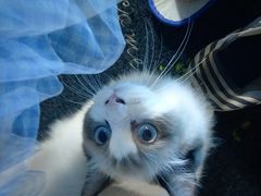 -零纪元VR体验馆·桌游(黄浦店)