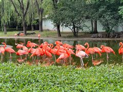 -石家庄市动物园