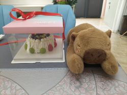 -雪绒花月子会所(祥盛店)