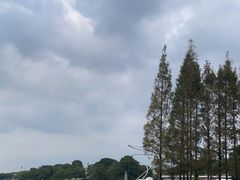 -上海月湖雕塑公园