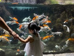 -南昌海洋公园