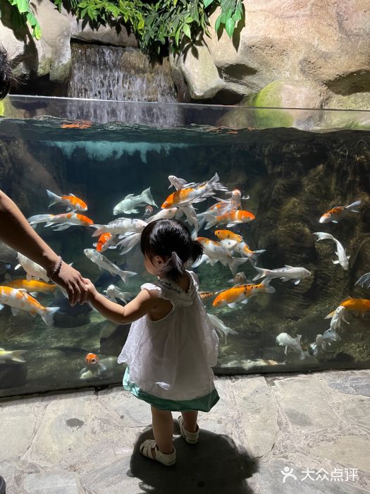 南昌海洋公园图片