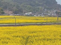 -大罗山风景区