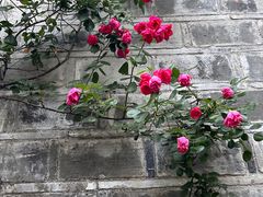 -老门东历史文化街区